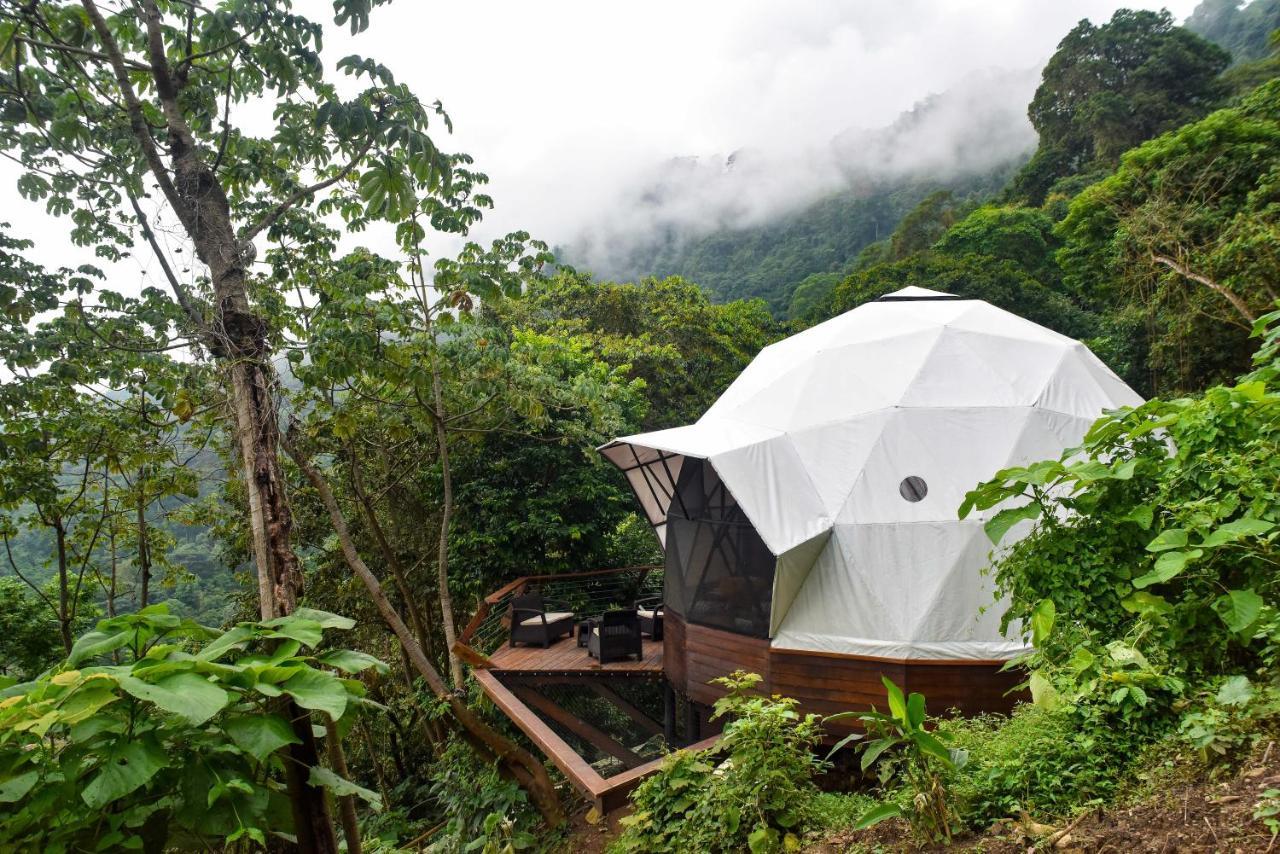 酒店 Trekker Glamping 5*
